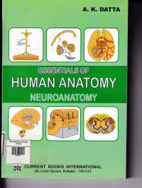 Image of Essentials of human anatomy : neuroanatomy
