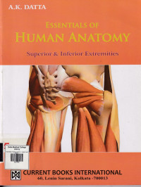 Image of Essentials of human anatomy : superior and inferior extremities