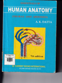 Image of Essentials of human anatomy: thorax and abdomen