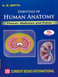 Image of Essentials of human anatomy: thorax and abdomen & Pelvis. Part 1